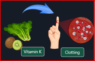 Vitamin K