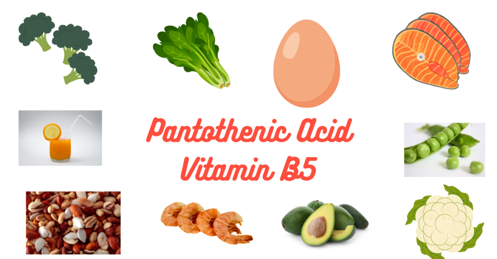 Vitamin b5 Food Sources