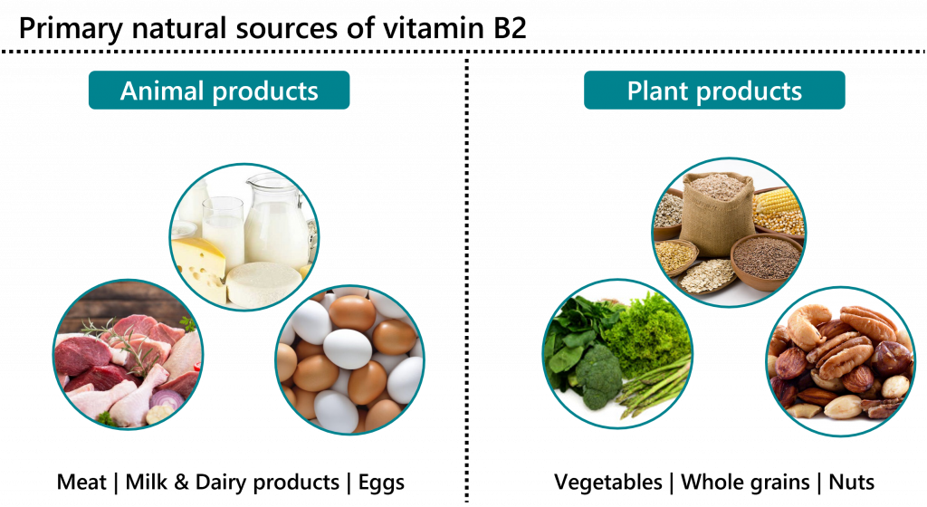 Vitamin B2 Riboflavin Food sources